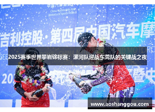 2025赛季世界攀岩锦标赛：漯河队迎战东莞队的关键战之夜